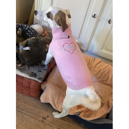 Pull pour chien